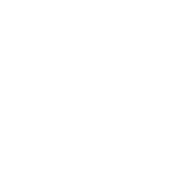 icon-linkedin-white